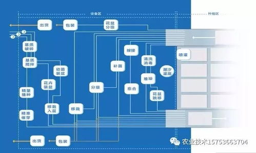 物聯網技術驅動下的蔬菜工廠化生產 科技時代的精細農業革命